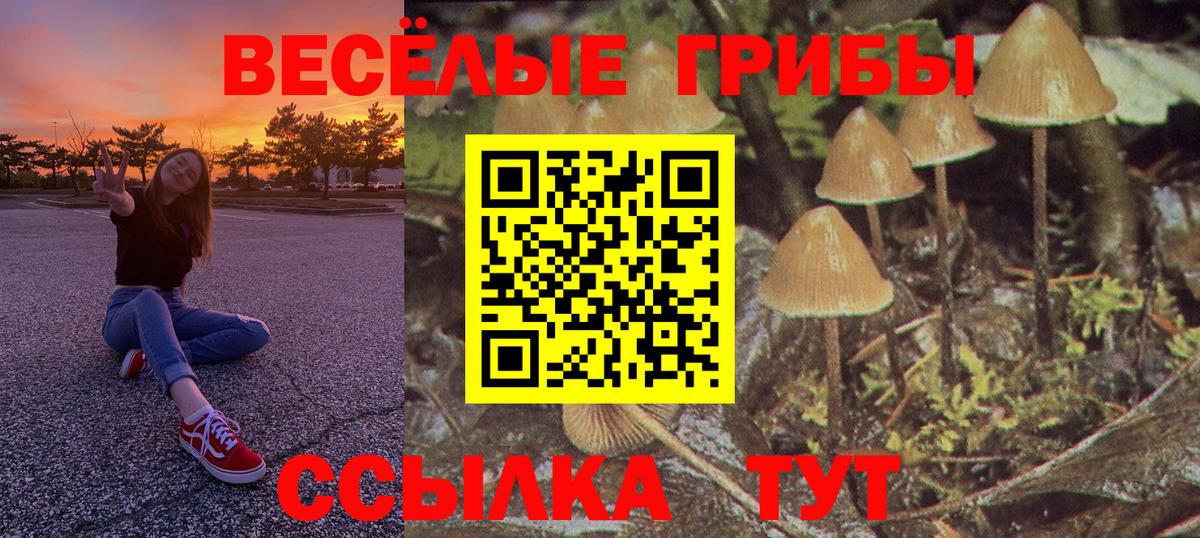 Гудермес  Псилоцибиновые грибы Magic Shrooms  Вход с VPN 