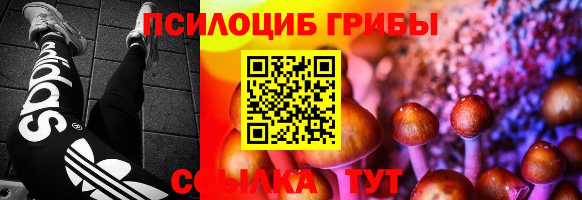 Псилоцибиновые грибы Psilocybine cubensis Гудермес